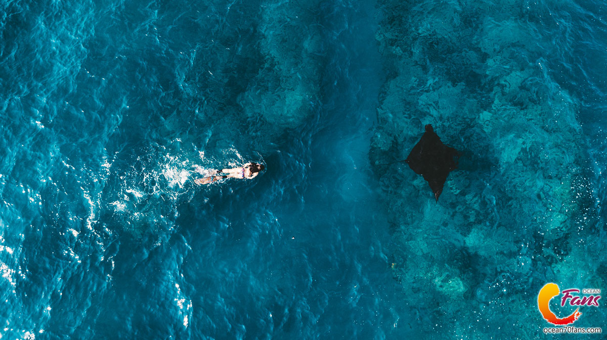 峇里島,自由行潛水,行程