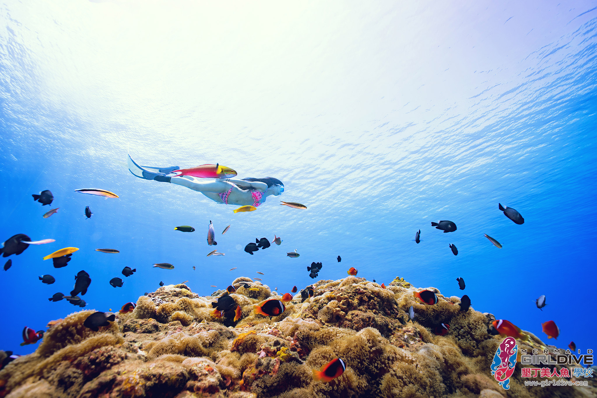 海人迷,自由潛水,水中攝影,潛水旅遊,國內旅遊