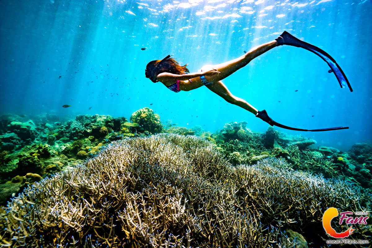 自潛初學者十大常見q A 世界自由潛水平台 海島旅遊交流 Ocean70fans海人迷