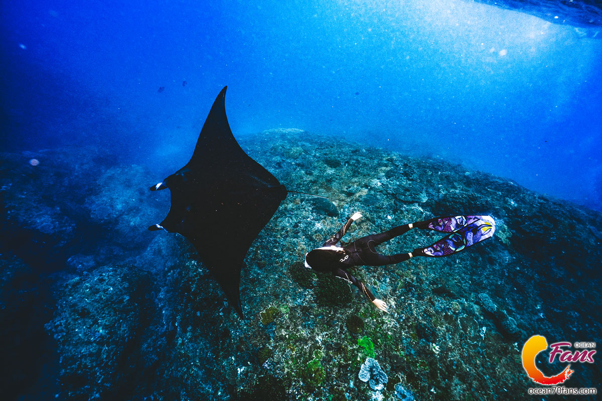 峇里島,自由行,自由潛水,行程