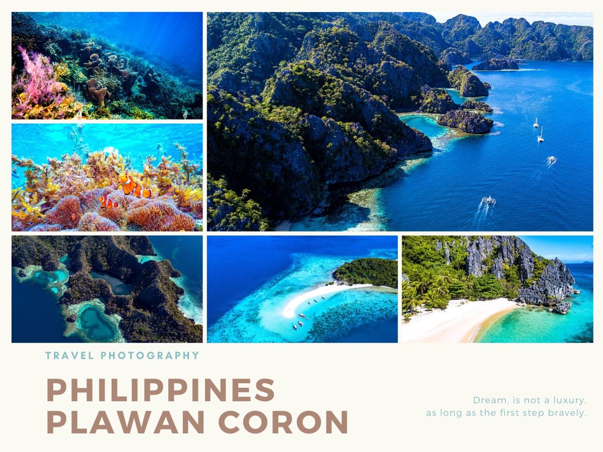 菲律賓,科隆,自由潛水,旅行,行程