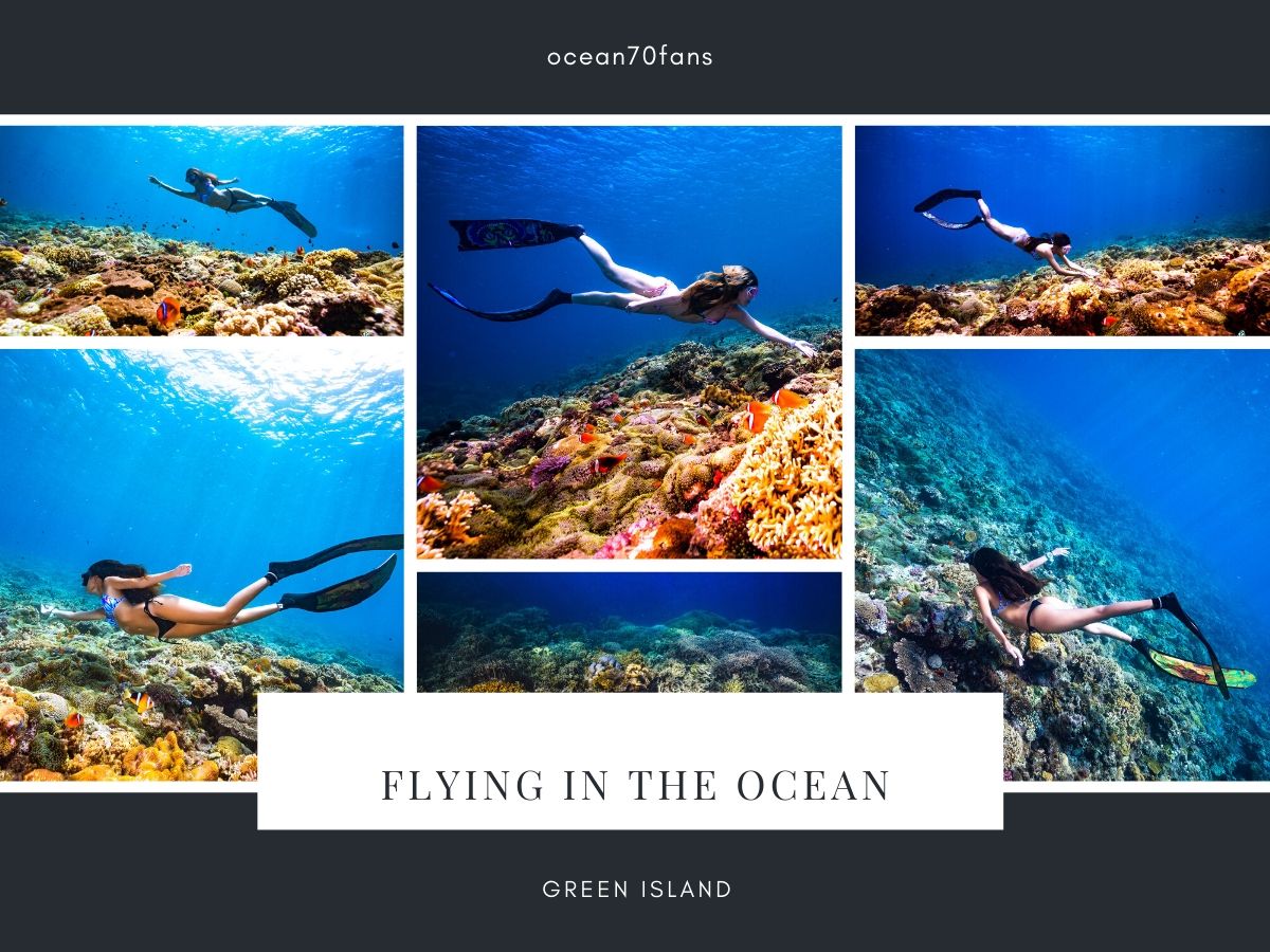 綠島,自由潛水,水中攝影,潛水旅遊