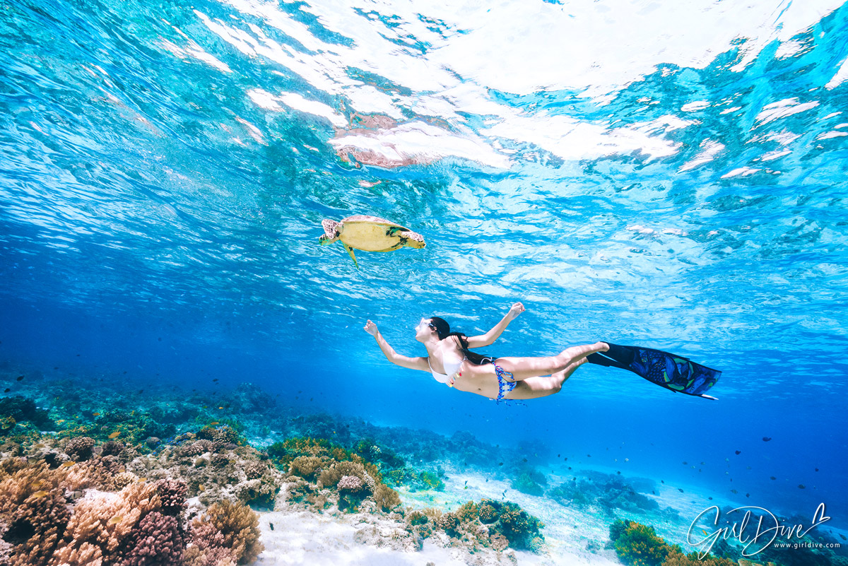 自由潛水,水中攝影,潛水旅遊,國內旅遊