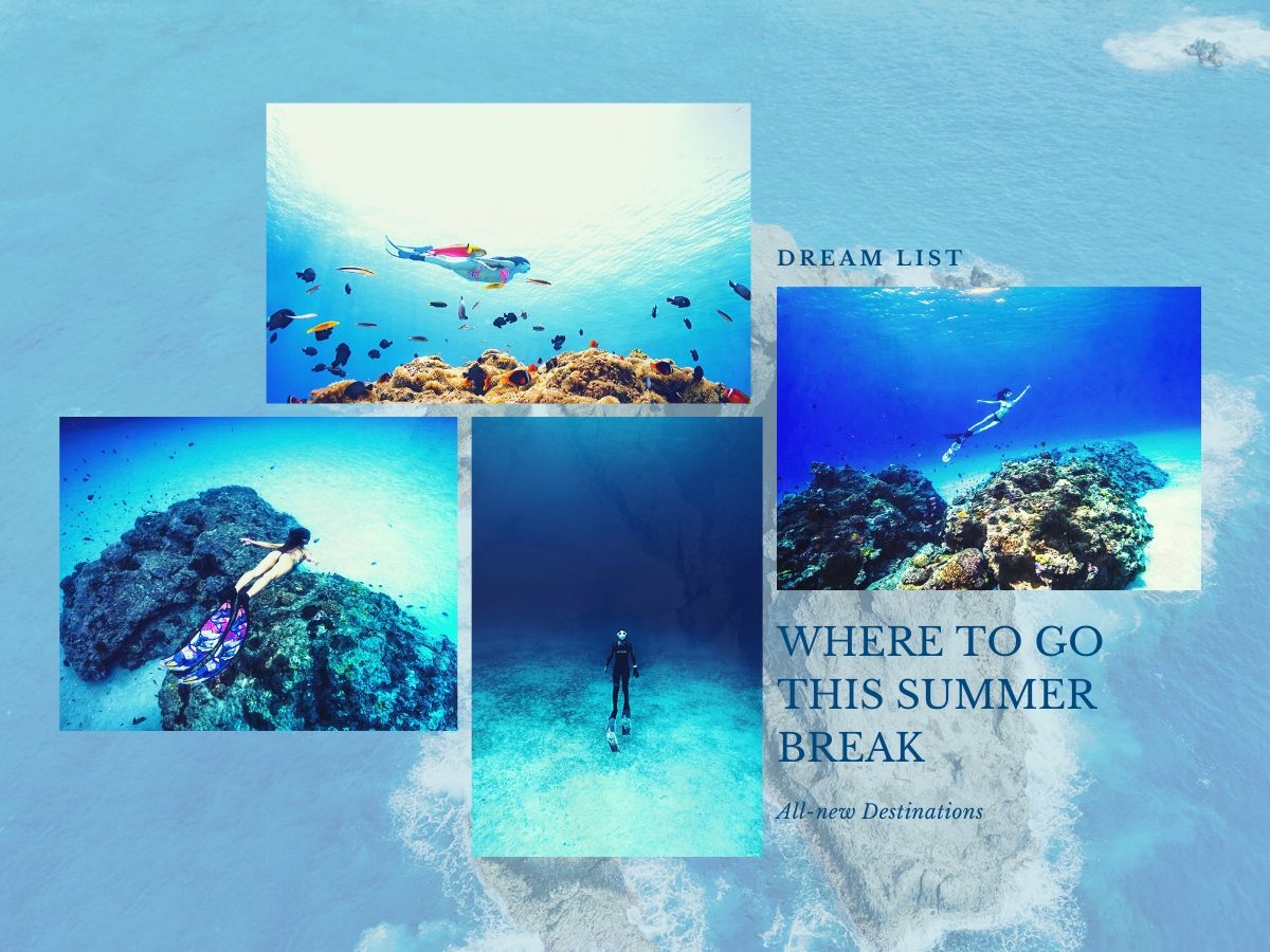綠島,自由潛水,水中攝影,潛水旅遊