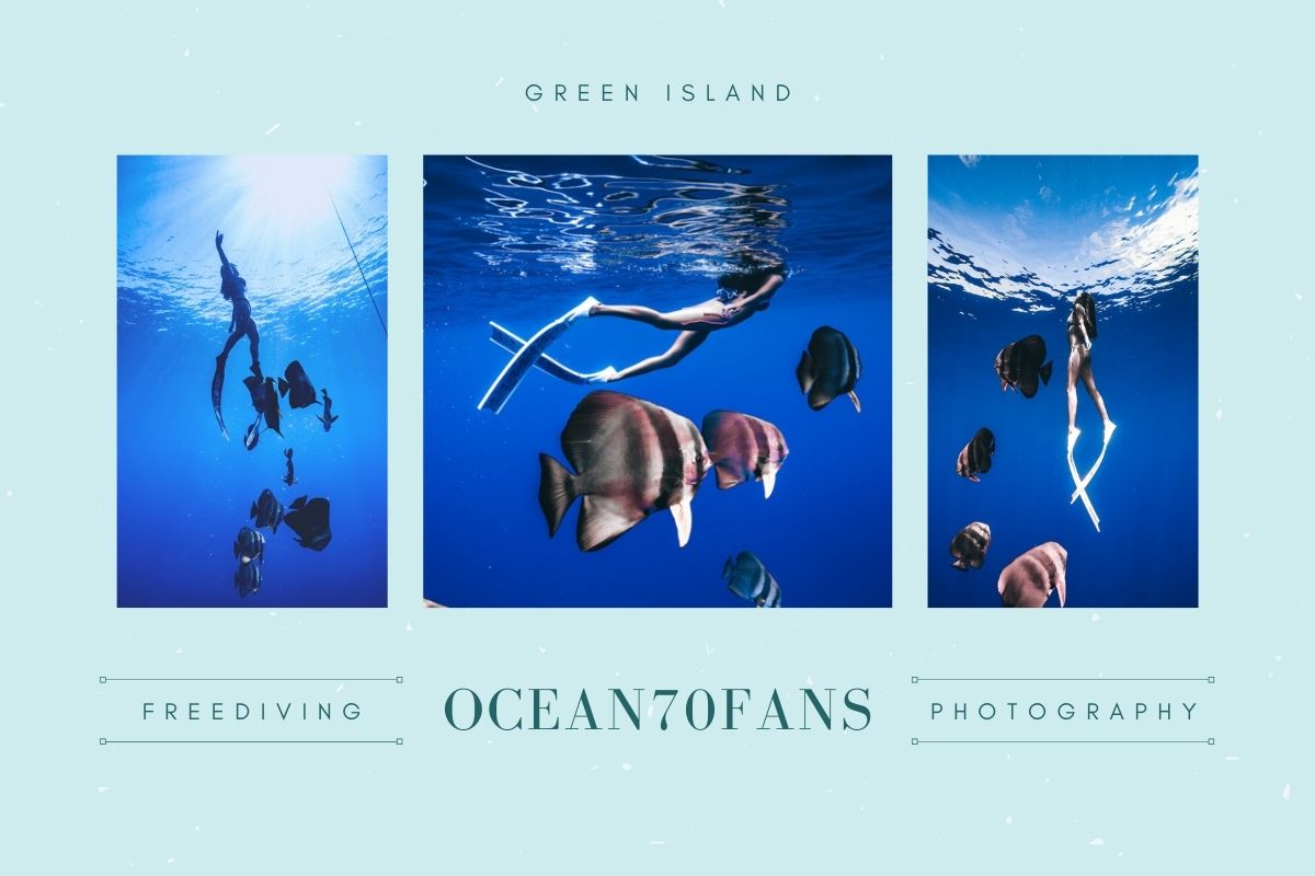 綠島,自由潛水,潛點,潛旅,行程,景點,鋼鐵礁