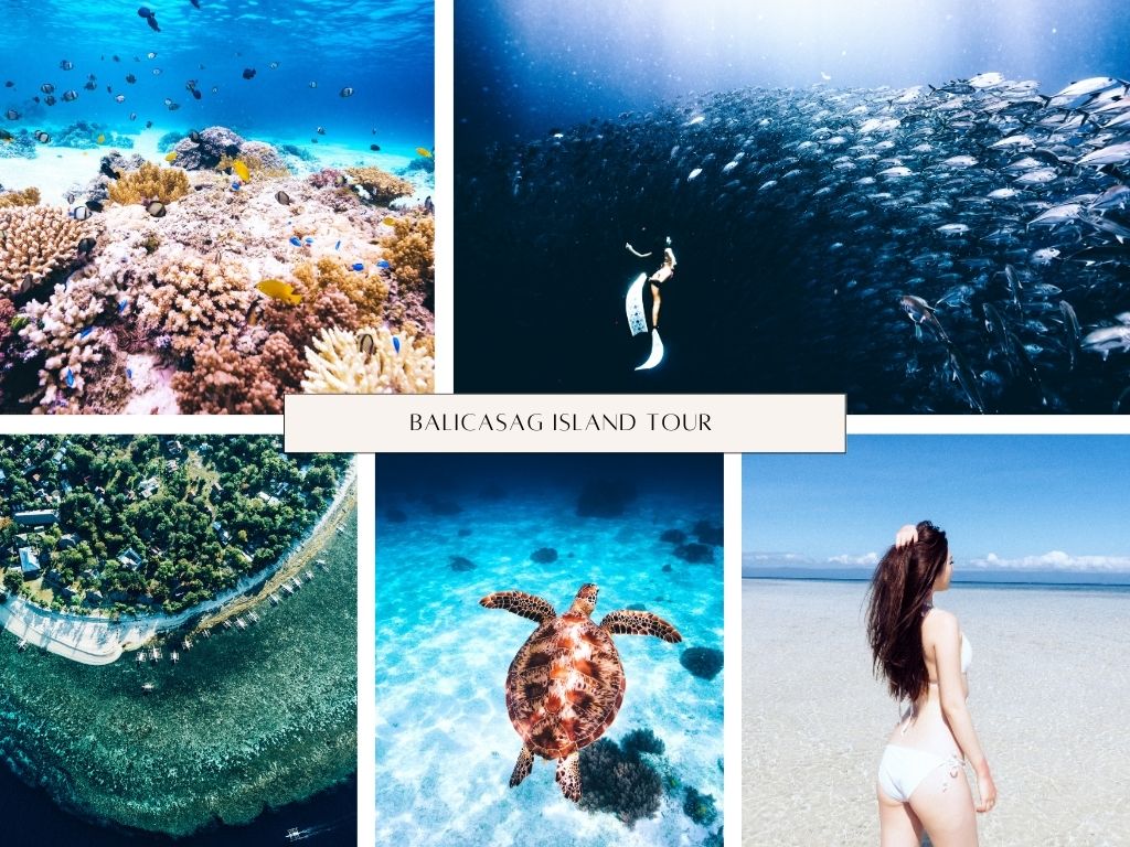 跳島,Balicasag,菲律賓,邦勞,薄荷島,島嶼,潛水,景點,行程,潛旅,自由潛水,攝影