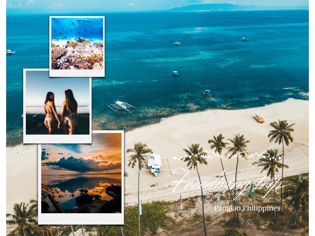 菲律賓,邦勞,薄荷島,島嶼,潛水,景點,行程,潛旅,自由潛水,攝影